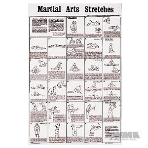 Martial Arts Stretches Poster