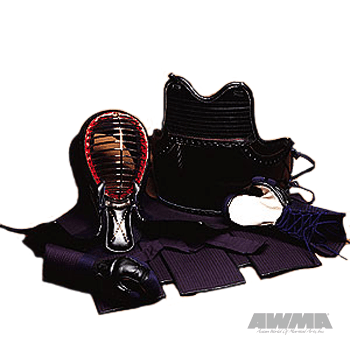 Kendo Armor
