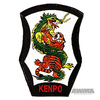 Dragon & Tiger - Kenpo Patch