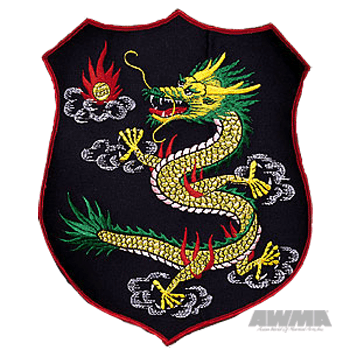 Dragon Shield Jacket Patch