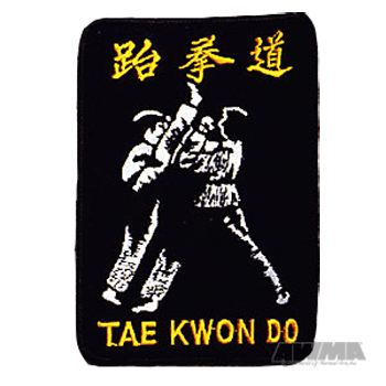Tae Kwon Do Fighters Patch