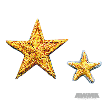 Achievement Star Patch