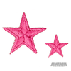 Achievement Star Patch