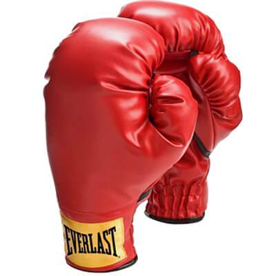 Everlast Laceless Boxing Training Gloves