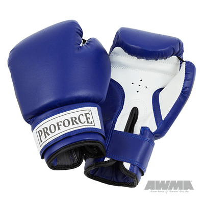ProForce® Leatherette Boxing Glove