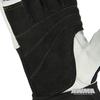 ProForce® Fitness Workout & Weight Lifting Gloves - Mens Wrist Wrap