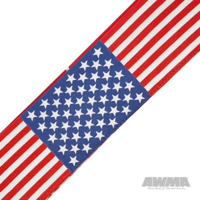 USA Martial Arts Headband