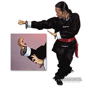 Kung Fu Training Ring