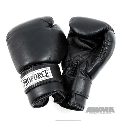 ProForce® Original Leather Boxing Glove