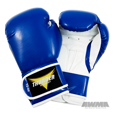 ProForce® Thunder Leather Boxing Gloves w/Vented Palm